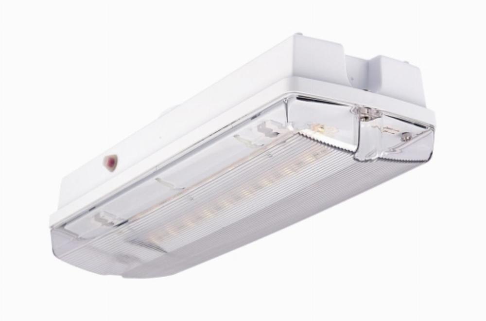 Oprawa ewakuacyjna/awaryjna ORION LED 100 SA 3H MT IP65 / 41628 230V