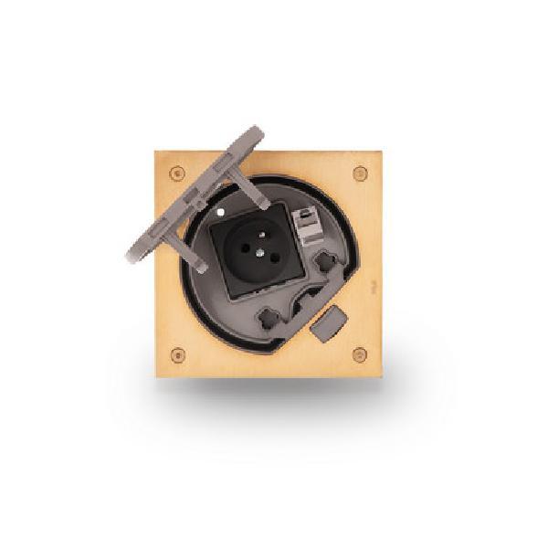 KSE IP66 wkład puszki podłogowej KSE IP66 z gniazdem z/uz. i RJ45 kat.5e IK07 mosiądz