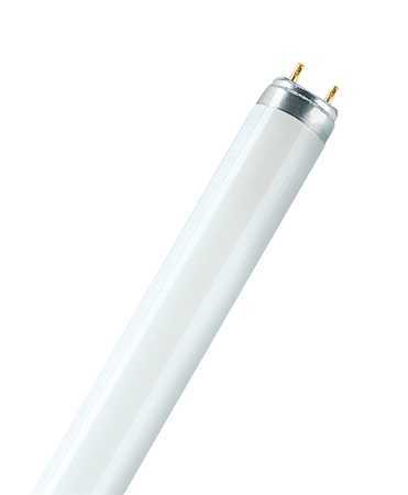 świetlówka liniowa SPECTRALUX G13 NL-T8 36W/840