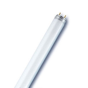 świetlówka liniowa SPECTRALUX G13 NL-T8 36W/865