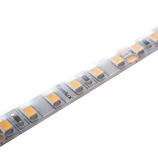 taśma LED L120 16W/M 24 IP65-NW