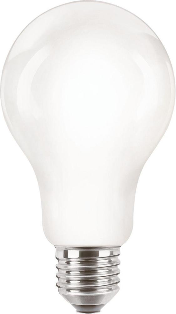 żarówka LED E27 13W-120W 2000lm 2700K A67  
