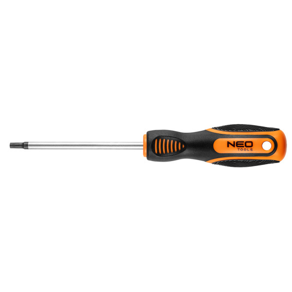 wkrętak Torx T25 x 100 mm
