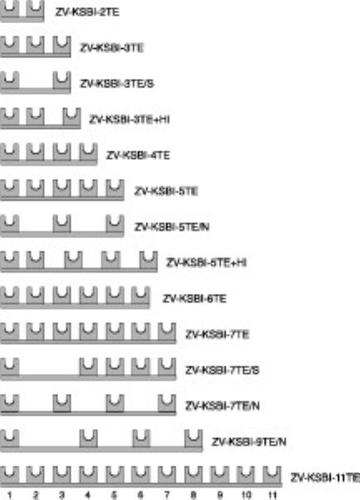 ZV-KSBI-4TE Mostki łączeniowe do ogr. przepięć