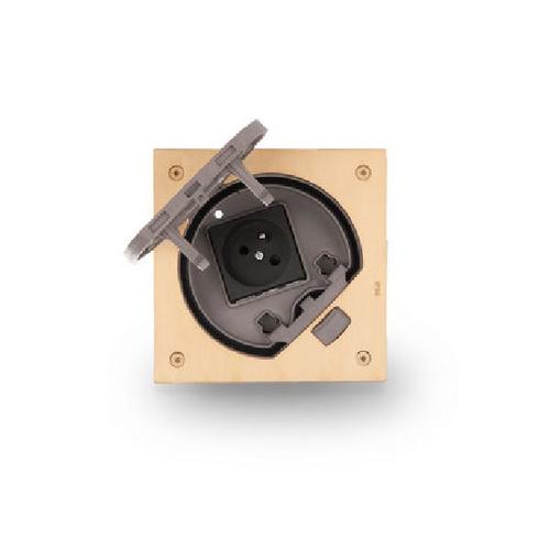 KSE IP66 wkład puszki podłogowej KSE IP66 z gniazdem z/uz. IK07 mosiądz