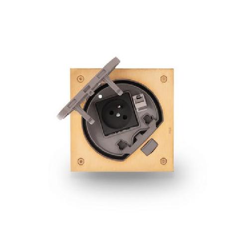 KSE IP66 wkład puszki podłogowej KSE IP66 z gniazdem z/uz. i RJ45 kat.5e IK07 mosiądz