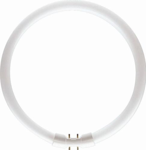 świetlówka MASTER TL5 Circular 40W/840 1CT/10