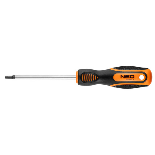 wkrętak Torx T25 x 100 mm