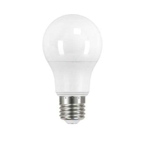 żarówka LED IQ-LED A60 E27 4,2W 500lm 4000K